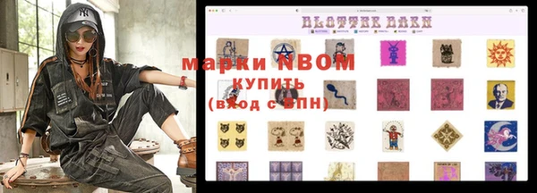 индика Бугульма