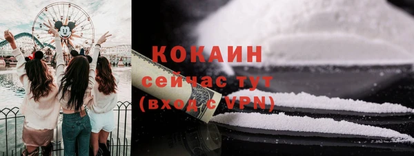 индика Бугульма