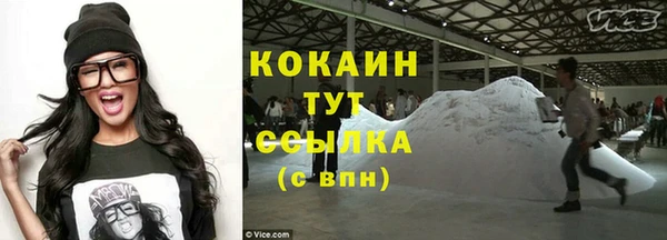 индика Бугульма