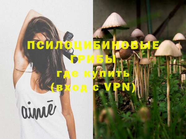герыч Бронницы