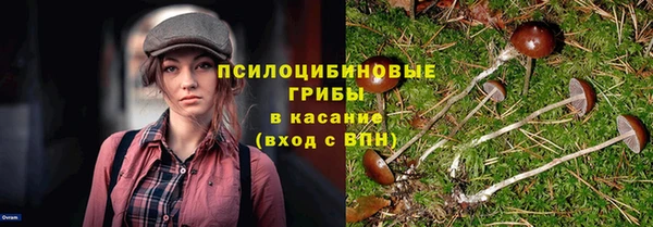 герыч Бронницы