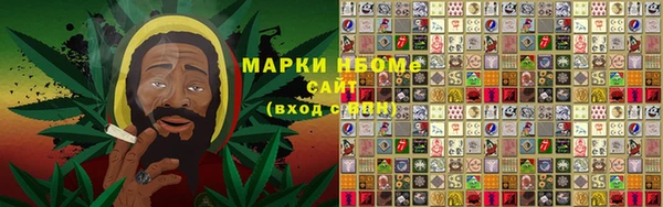 индика Бугульма