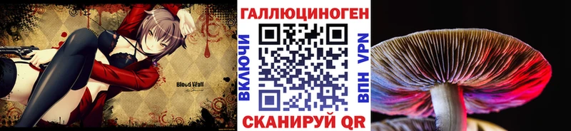 Купить где  Верхотурье  Псилоцибиновые грибы мухоморы 